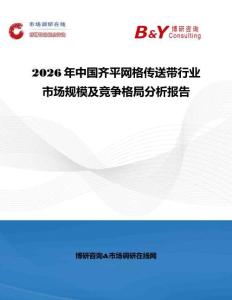 2026年中國齊平網格傳送帶行業市場規模及競爭格局分析報告