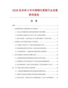 2026及未來5年中國鋼化菜板行業發展研究報告