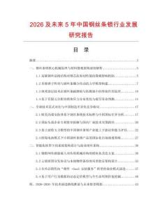 2026及未來5年中國鋼絲條鎖行業發展研究報告
