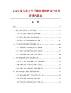 2026及未來5年中國常溫除銹液行業發展研究報告