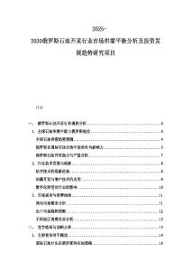 2025-2030俄罗斯石油开采行业市场供需平衡分析及投资发展趋势研究项目