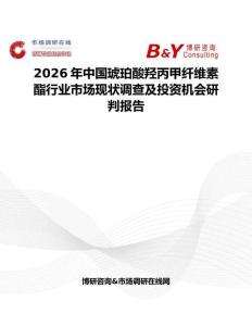 2026年中国琥珀酸羟丙甲纤维素酯行业市场现状调查及投资机会研判报告