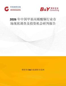 2026年中國甲基丙烯酸銅行業(yè)市場現(xiàn)狀調(diào)查及投資機(jī)會研判報(bào)告