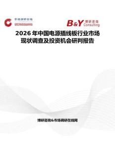 2026年中國電源插線板行業市場現狀調查及投資機會研判報告