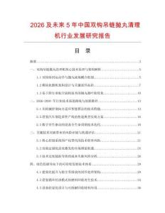 2026及未來5年中國雙鉤吊鏈拋丸清理機行業發展研究報告