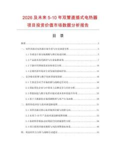 2026及未來5-10年雙管直插式電熱器項目投資價值市場數據分析報告