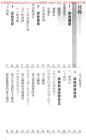 點算八字格局資料