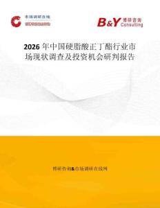 2026年中國硬脂酸正丁酯行業市場現狀調查及投資機會研判報告