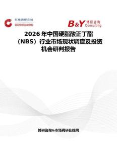 2026年中國硬脂酸正丁酯（NBS）行業市場現狀調查及投資機會研判報告