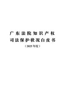 廣東法院知識產權司法保護狀況白皮書