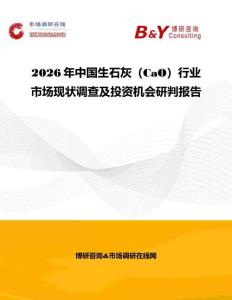 2026年中國(guó)生石灰（CaO）行業(yè)市場(chǎng)現(xiàn)狀調(diào)查及投資機(jī)會(huì)研判報(bào)告