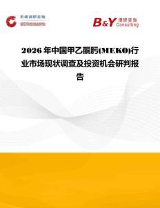 2026年中國甲乙酮肟(MEKO)行業市場現狀調查及投資機會研判報告