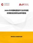 2026年中國電壁掛爐行業市場現狀調查及投資機會研判報告