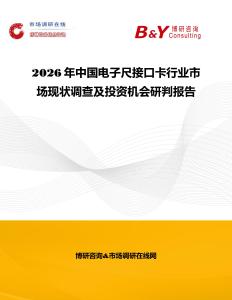 2026年中國電子尺接口卡行業市場現狀調查及投資機會研判報告