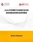 2026年中國電氣石戒指行業市場現狀調查及投資機會研判報告