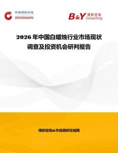 2026年中國白蠟燭行業市場現狀調查及投資機會研判報告