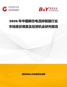 2026年中國瞬態電流抑制器行業市場現狀調查及投資機會研判報告