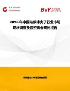 2026年中國硅碳棒夾子行業市場現狀調查及投資機會研判報告