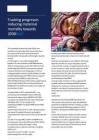 who-2030 年降低孕產婦死亡率進展追蹤簡報Tracking progress in reducing maternal mortality towards 2030 brief