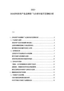 2025-2030多哈體育產業品牌推廣與全球市場開發策略分析