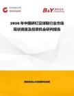 2026年中國碎釘足球鞋行業市場現狀調查及投資機會研判報告