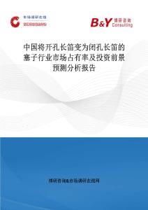 中國將開孔長笛變為閉孔長笛的塞子行業市場占有率及投資前景預測分析報告