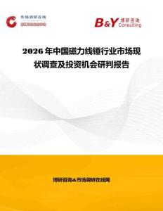 2026年中國(guó)磁力線錘行業(yè)市場(chǎng)現(xiàn)狀調(diào)查及投資機(jī)會(huì)研判報(bào)告