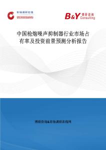 中國槍炮噪聲抑制器行業市場占有率及投資前景預測分析報告