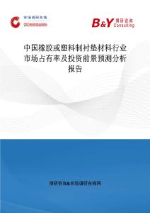 中國橡膠或塑料制襯墊材料行業市場占有率及投資前景預測分析報告