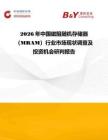 2026年中国磁阻随机存储器（MRAM）行业市场现状调查及投资机会研判报告