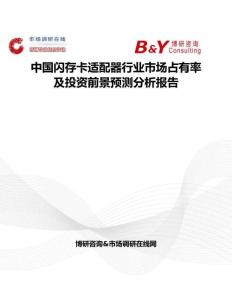 中国闪存卡适配器行业市场占有率及投资前景预测分析报告