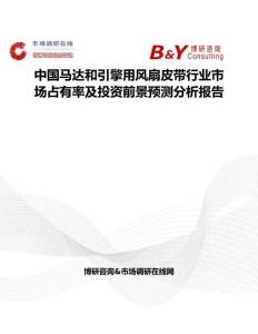 中国马达和引擎用风扇皮带行业市场占有率及投资前景预测分析报告