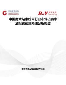 中國魔術貼束線帶行業市場占有率及投資前景預測分析報告
