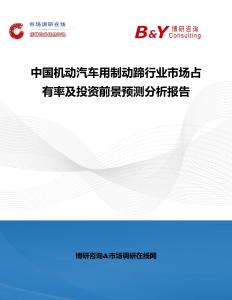 中國機動汽車用制動蹄行業市場占有率及投資前景預測分析報告