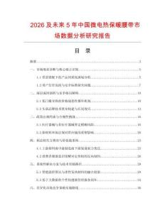 2026及未來5年中國微電熱保暖腰帶市場數據分析研究報告