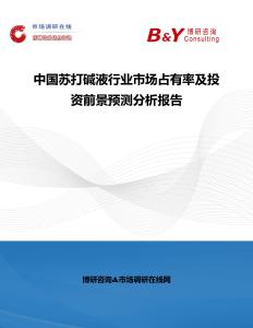 中國蘇打堿液行業市場占有率及投資前景預測分析報告
