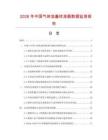 2026年中國氣體流量校準器數據監測報告