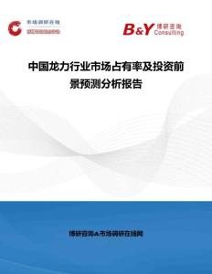 中国龙力行业市场占有率及投资前景预测分析报告