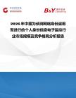 2026年中國為偵測網絡身份盜用而進行的個人身份信息電子監控行業市場規模及競爭格局分析報告