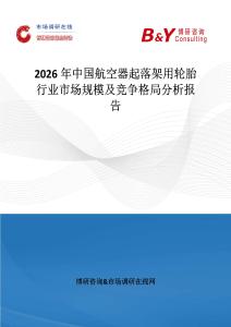 2026年中國航空器起落架用輪胎行業(yè)市場規(guī)模及競爭格局分析報告