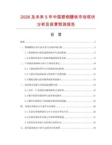 2026及未來5年中國塑鋼腰鐵市場現狀分析及前景預測報告