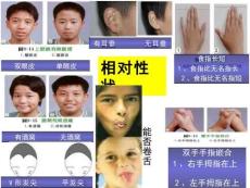高中生物精品課件：分離規(guī)律