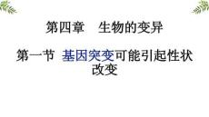 高中生物精品課件：基因突變可能引起性狀改變