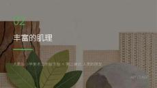 第二單元第2課《豐富的肌理》（課件）-2025-2026學(xué)年二年級美術(shù)下冊人教版