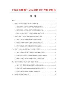 2026年壁厚千分尺项目可行性研究报告