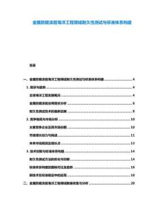 金屬防腐涂層海洋工程領(lǐng)域耐久性測試與標(biāo)準(zhǔn)體系構(gòu)建