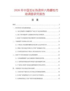 2026年中國加長熱燙鋅六角螺栓市場調查研究報告