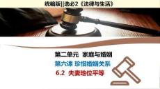 25-26學(xué)年政治(統(tǒng)編版)選擇性必修第二冊(cè)課件：6.2 夫妻地位平等