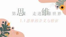 25-26學(xué)年政治(統(tǒng)編版)選擇性必修第三冊課件：1.1 走進(jìn)思維世界