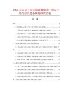 2026及未來5年中國減震電動三輪車市場分析及競爭策略研究報告